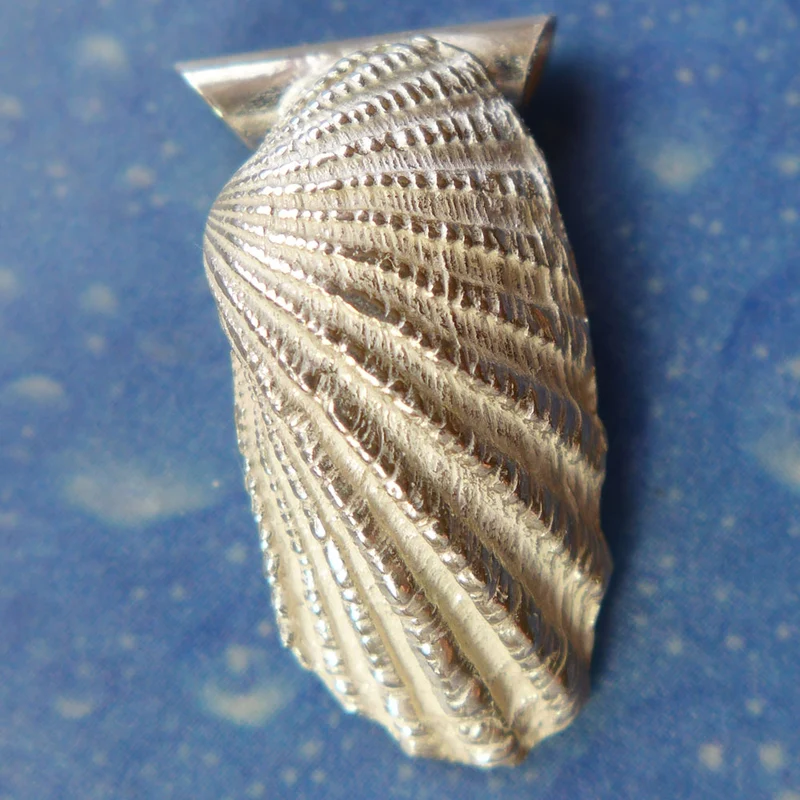 Muschelkette Anhänger Welle s Silber