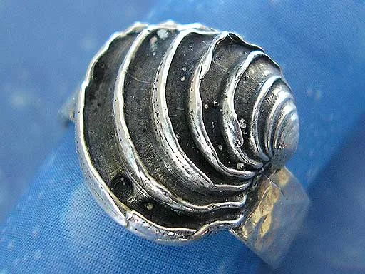 Muschel Schmuck Ring Venus St l