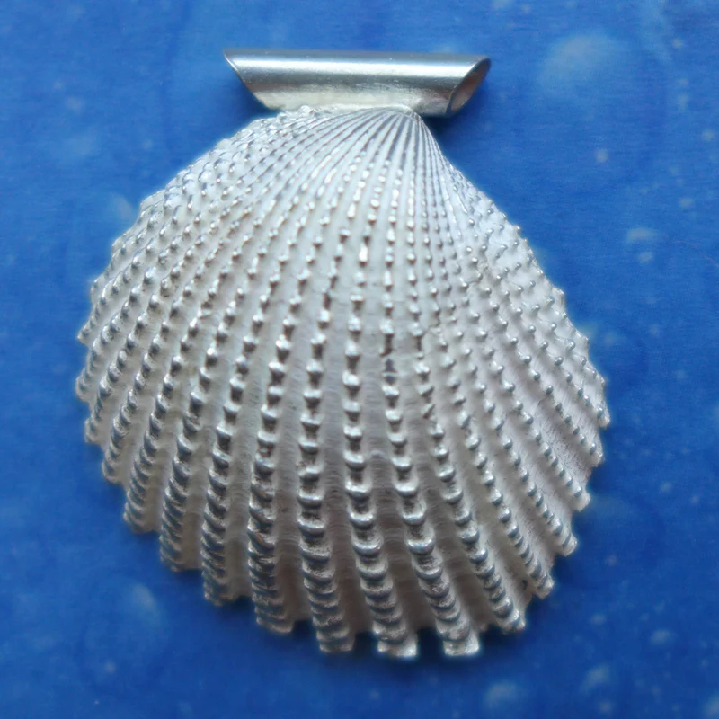 Muschel in Silber Anhänger mit toller Struktur