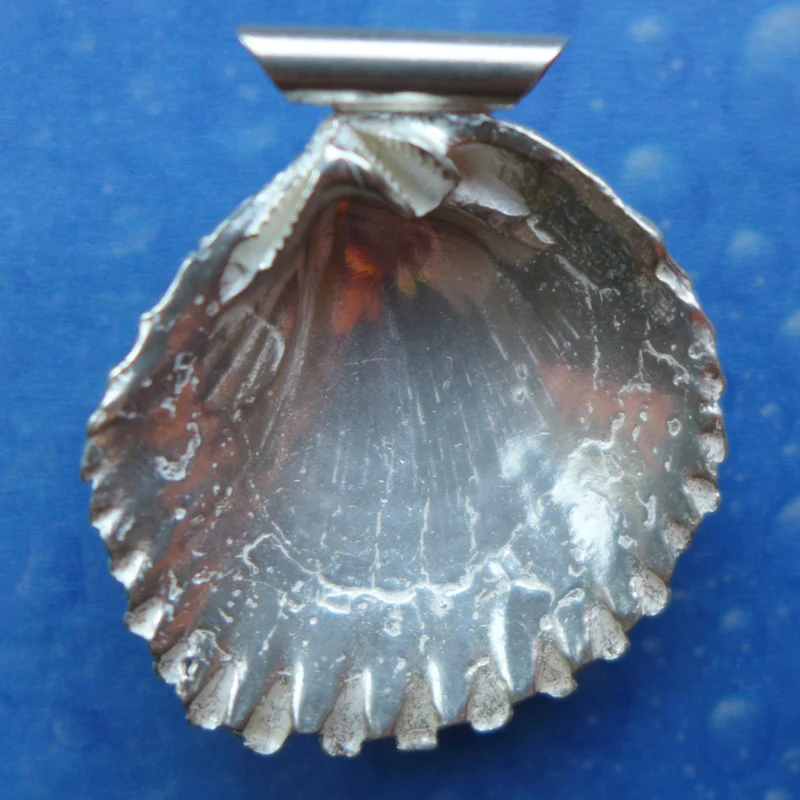 Muschel in Silber Anhänger mit toller Struktur