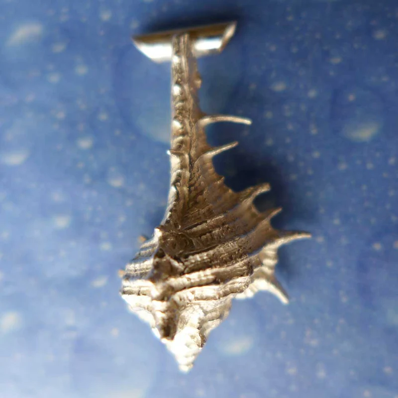 Murex Schmuck Anhänger Silber l