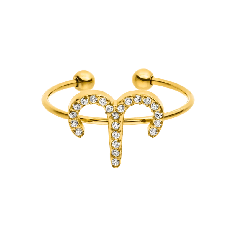 Zodiac Pave Ring 14K Vergoldet
