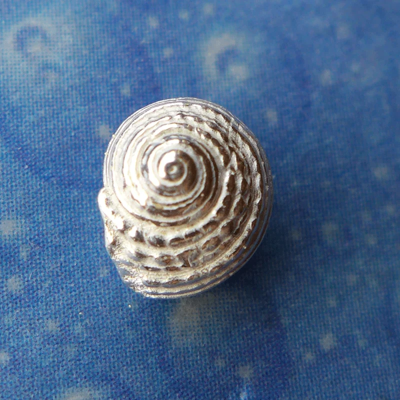 Meerweh Schmuck Knopfschnecke Stecker geg.fl