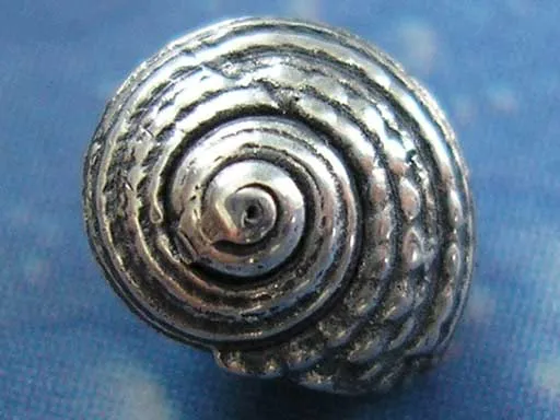 Meerweh Schmuck Knopfschnecke Stecker geg.fl