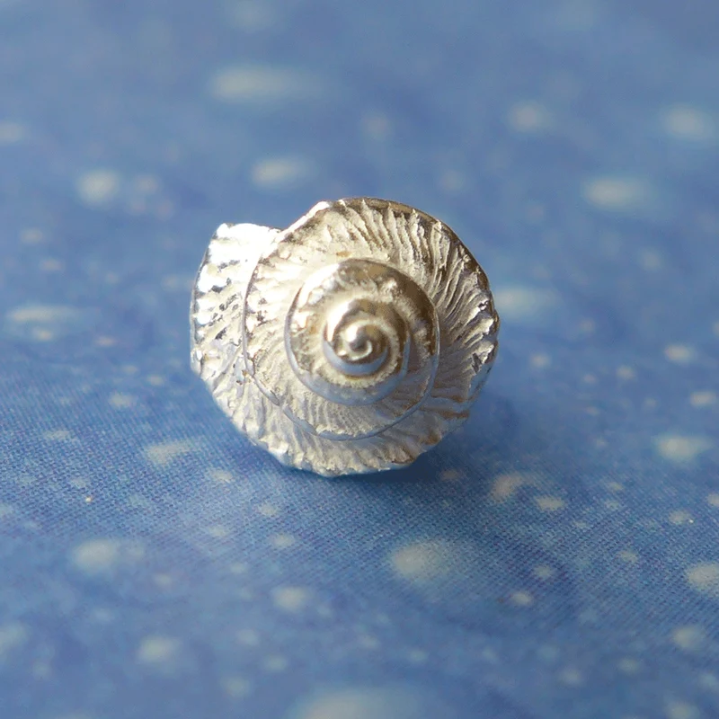 Meerweh Ohrstecker Kreiselschnecke ger
