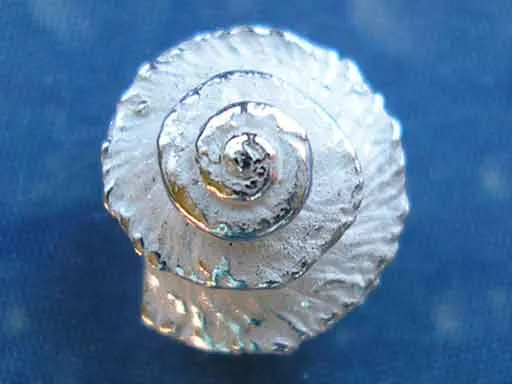 Meerweh Ohrstecker Kreiselschnecke ger
