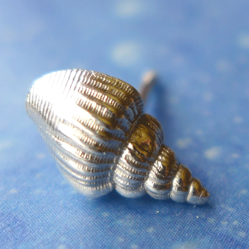 Ozean Schmuck Bandschnecke Ohrstecker