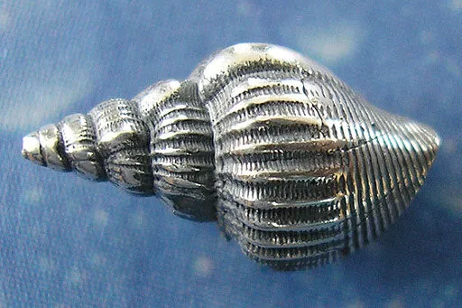 Ozean Schmuck Bandschnecke Ohrstecker