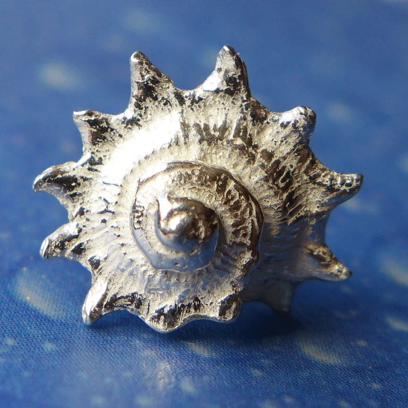 Organischer Schmuck Stachelige Sonnenschnecke m OS