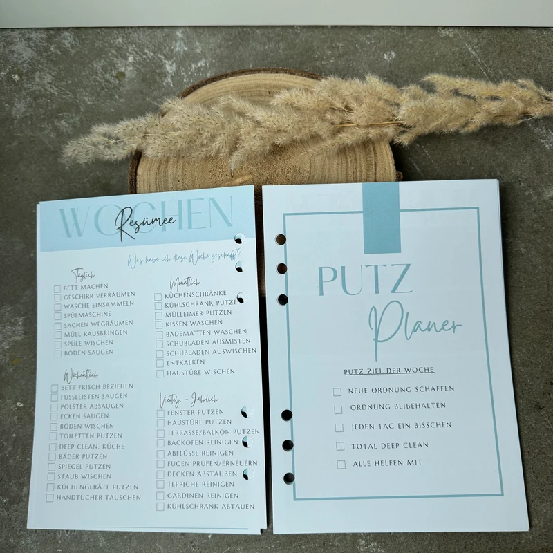 Putz Planer