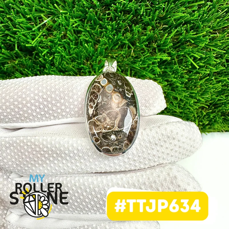 Turritella-Jaspis-Anhänger, Silber 925 #TTJP634