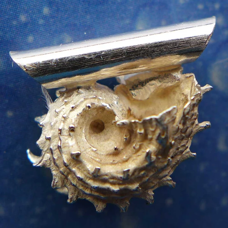 Meerschmuck Anhänger Silber Delfinchen