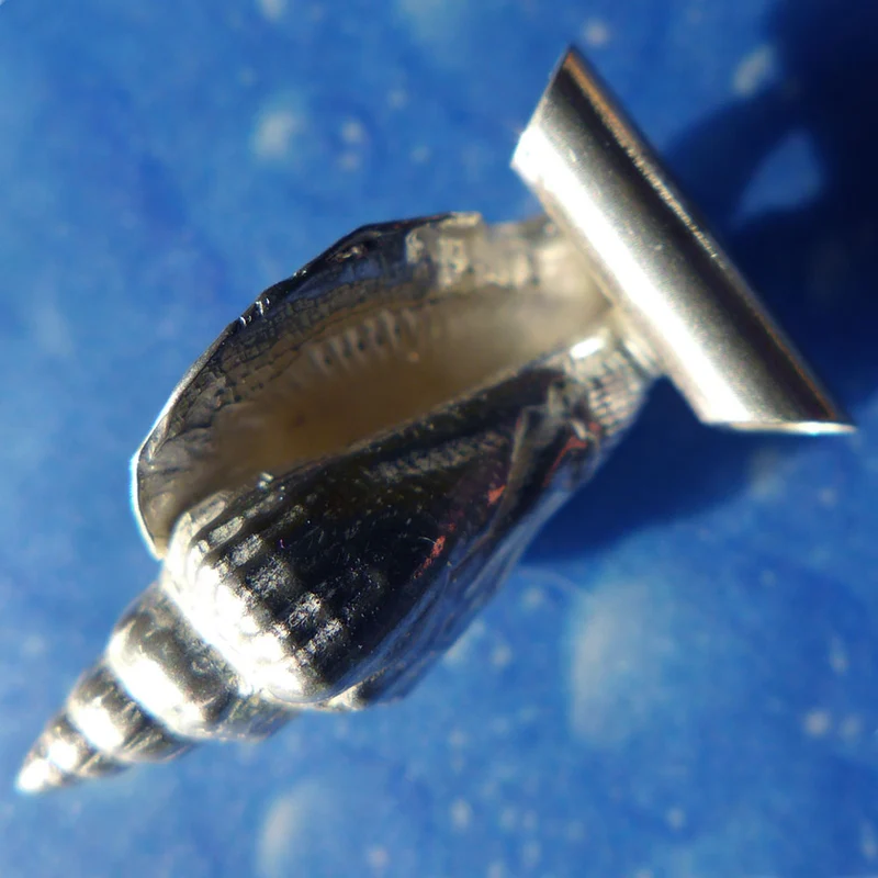 Meerschmuck Anhänger Schnecke Kleiner Bär