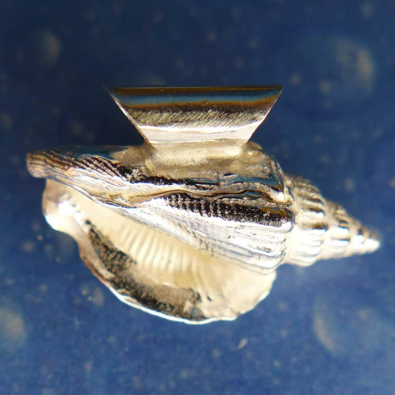 Meerschmuck Anhänger Schnecke Kleiner Bär