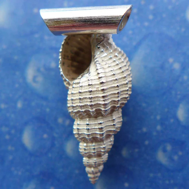 Meerschmuck Anhänger Dornen Schnecke