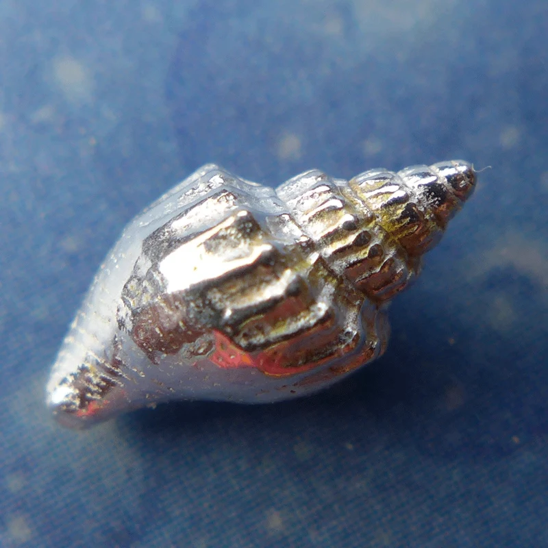Meerjungfrau Schmuck Turrid Schnecke Ohrstecker