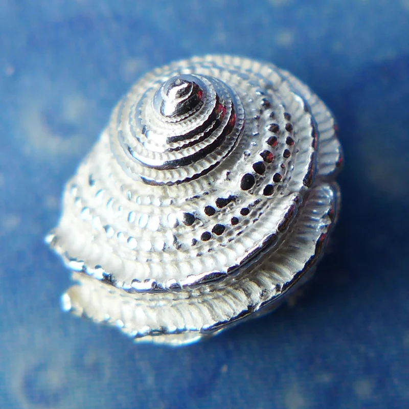 Meeresschnecke Ohrschmuck Silber Ohrstecker gerippt
