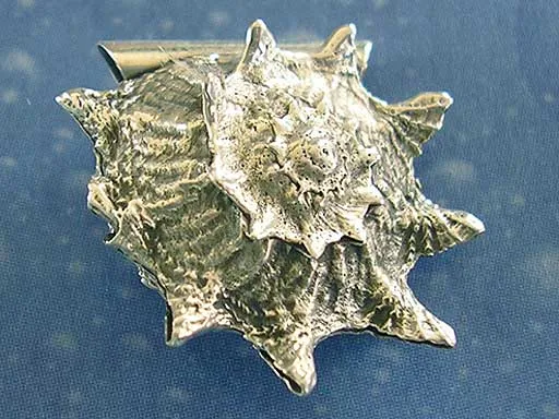 Meeres Design Anhänger Sonnen Schnecke s