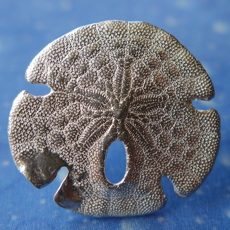 Meer Tiere Schmuck Sanddollar Ohrstecker s