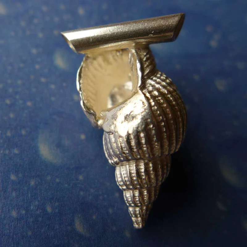 Meer Schmuck Silber Schnecke Muskatnuss