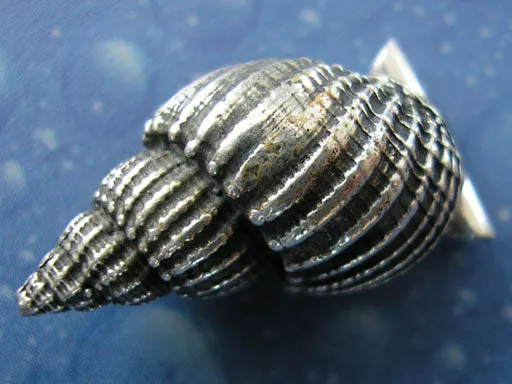 Meer Schmuck Silber Schnecke Muskatnuss