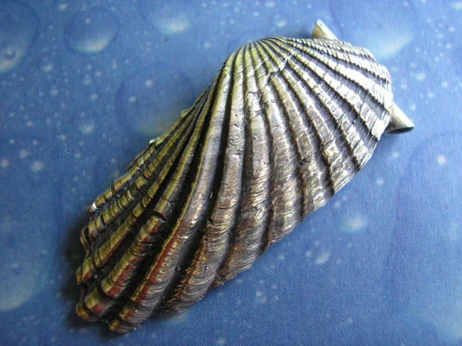 Meer Schmuck Muschel Anhänger Welle