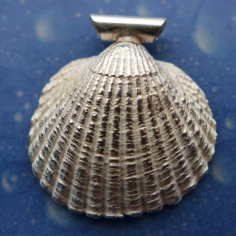 Meer Schmuck Anhänger Kamm Muschel bs