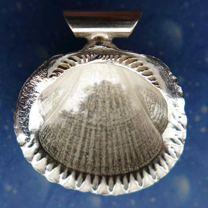Meer Schmuck Anhänger Kamm Muschel bs