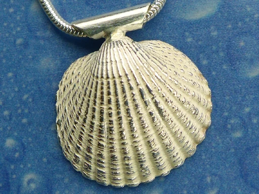Meer Schmuck Anhänger Kamm Muschel bs