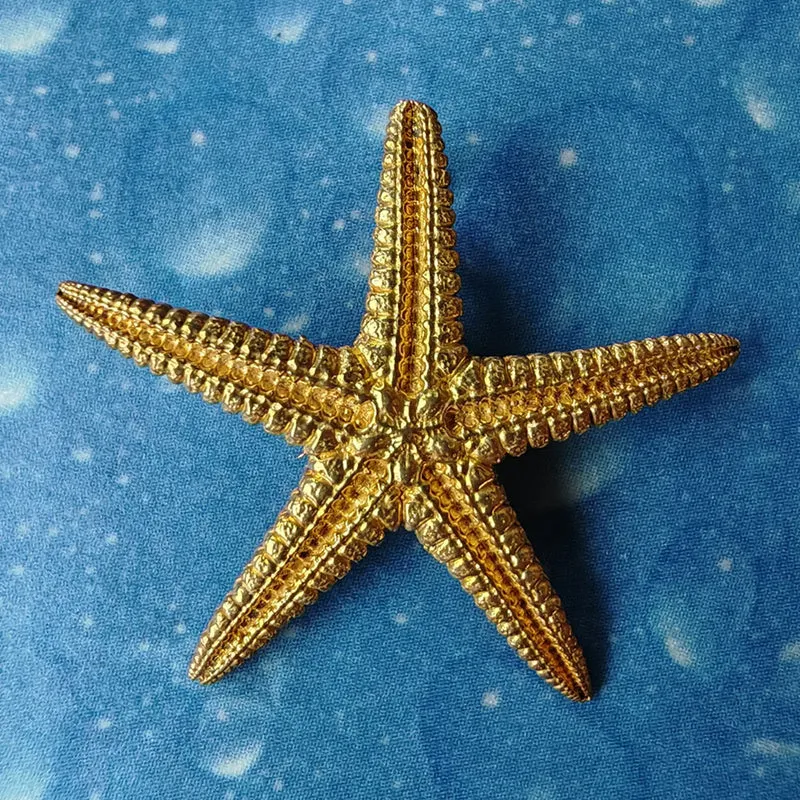 Seestern Anhänger Gold m