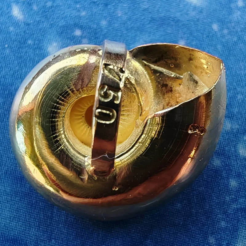 Taucherschmuck Gold Anhänger Schnecke Sonnenknopf