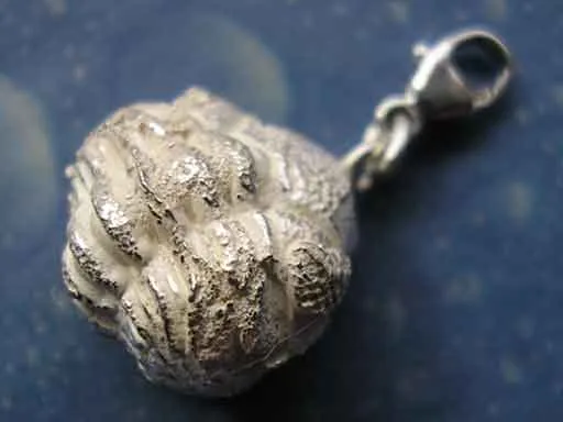Zusammengerollter Trilobit Charms mit Karabiner
