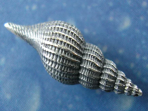 Vitamin Sea Schmuck Tibia Ohrstecker