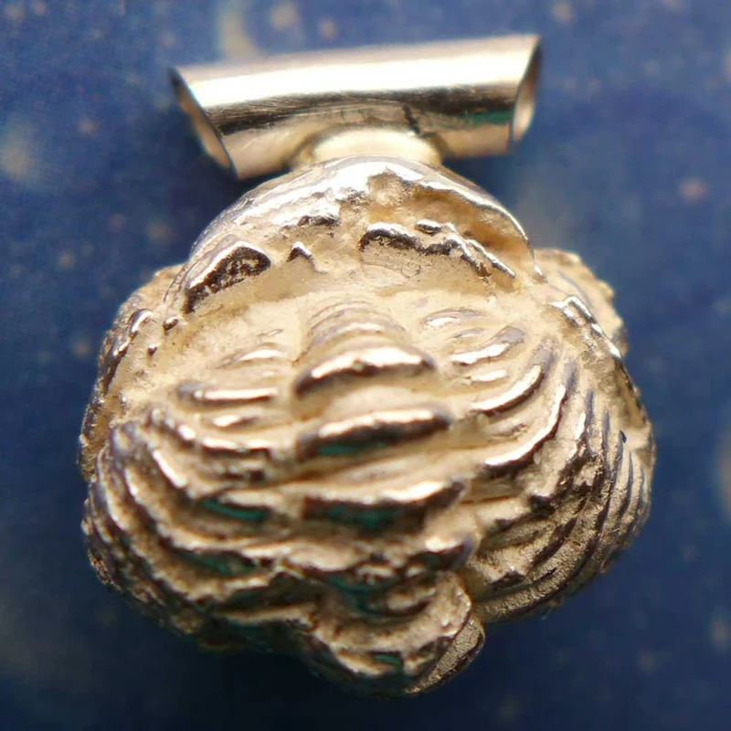 Versteinerung Schmuck Trilobit Anhänger