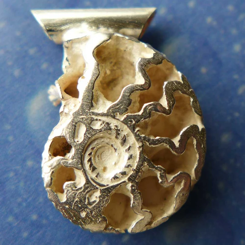 Versteinerung Schmuck Ammonit xs f A