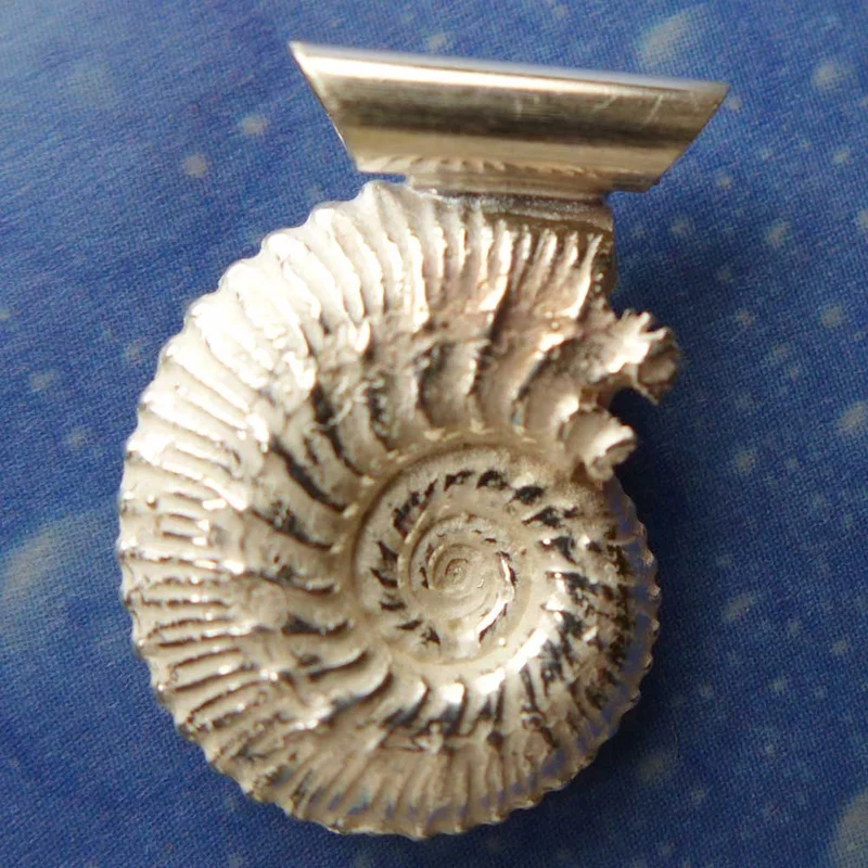 Versteinerung Schmuck Ammonit xs f A