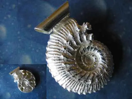 Versteinerung Schmuck Ammonit xs f A