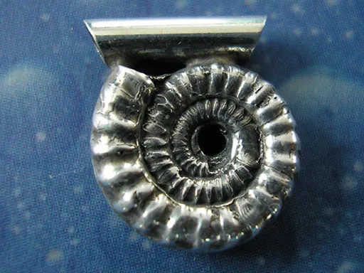 Versteinerung Schmuck Ammonit Anhänger