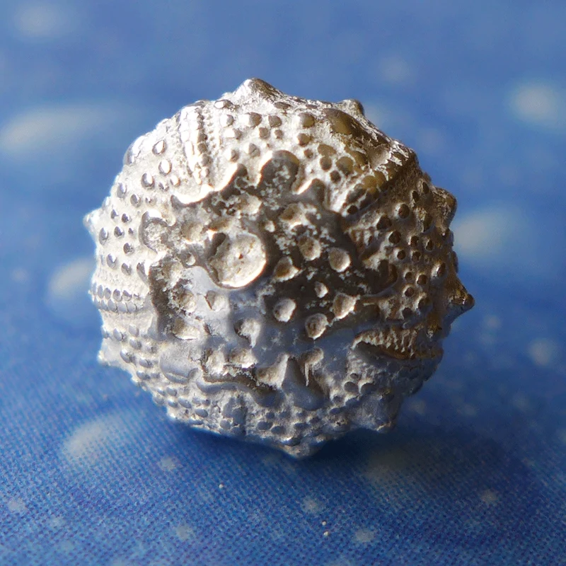Versteinerter Seeigel Silber Schmuck