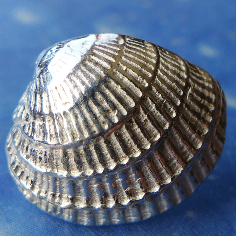 Venus Muschel Schmuck Ohrstecker LV s