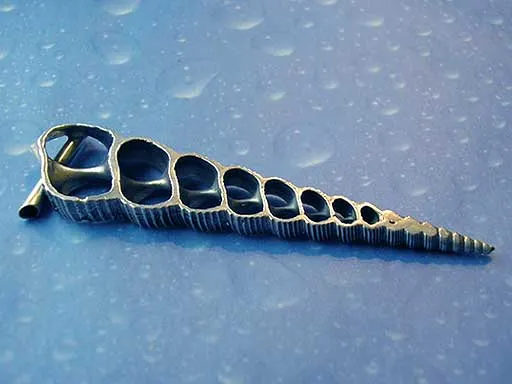 Turm Schnecken Anhänger Silber xxl