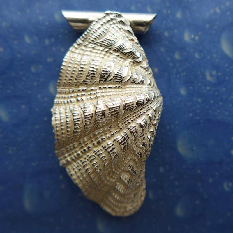 Tridacna Schmuck Silber Anhänger XXL