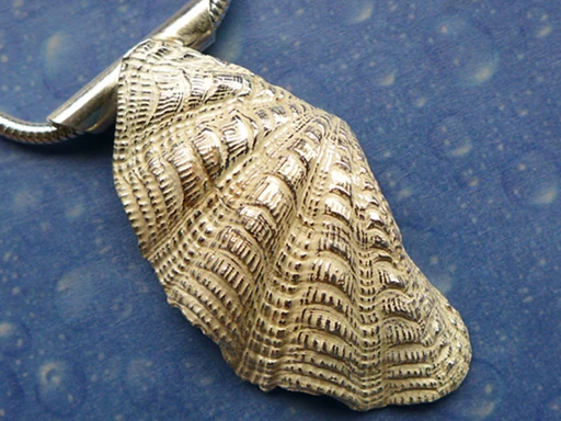 Tridacna Schmuck Silber Anhänger XXL