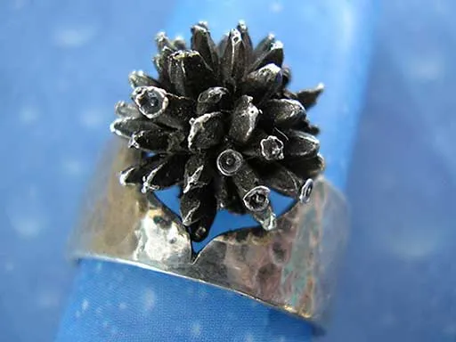 Teufelsabbiss Ring