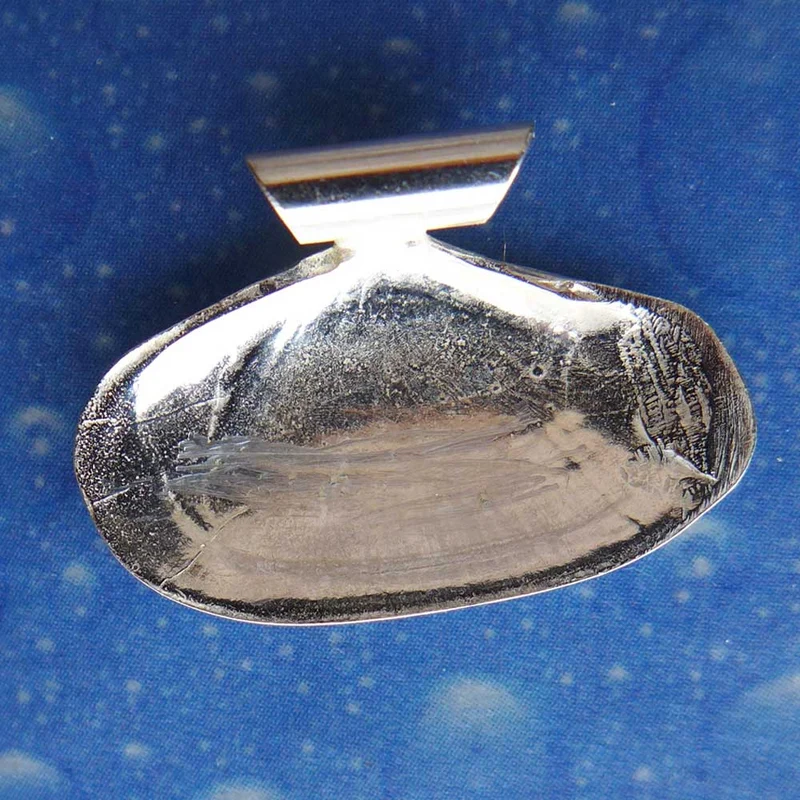 Tell Muschel Nordsee Schmuck