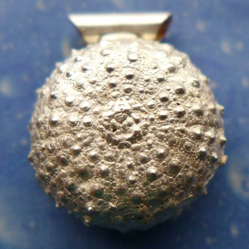 Taucherschmuck Seeigel Kettenanhänger m