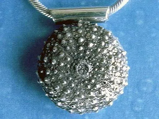 Taucherschmuck Seeigel Kettenanhänger m