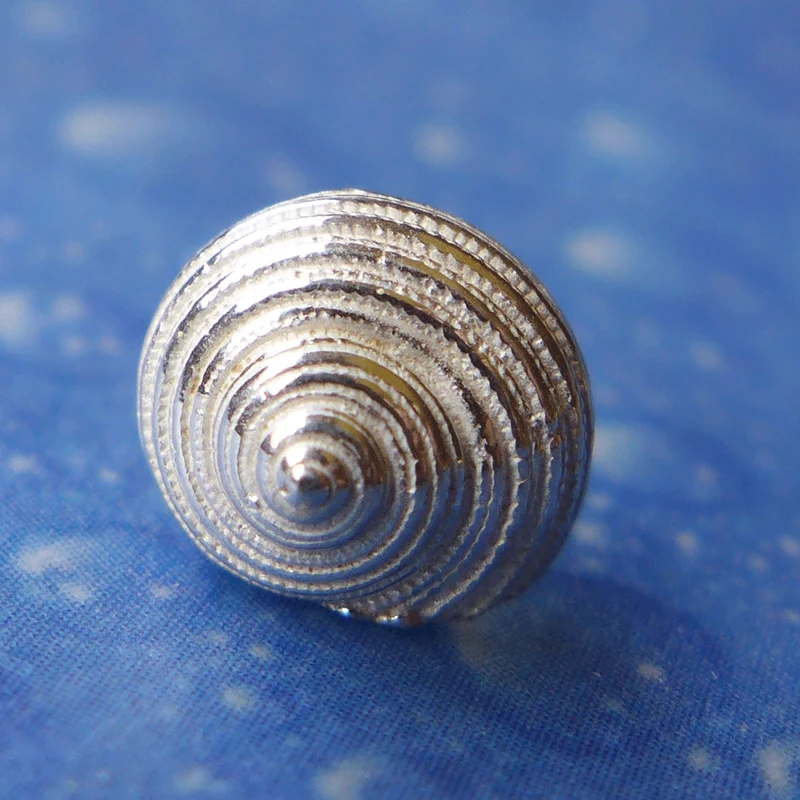 Taucherschmuck Schnecke Sonnenuhr Ohrstecker h