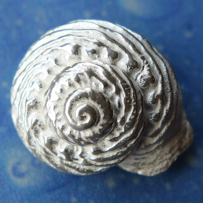 Taucherschmuck Schnecke Knotenknopf