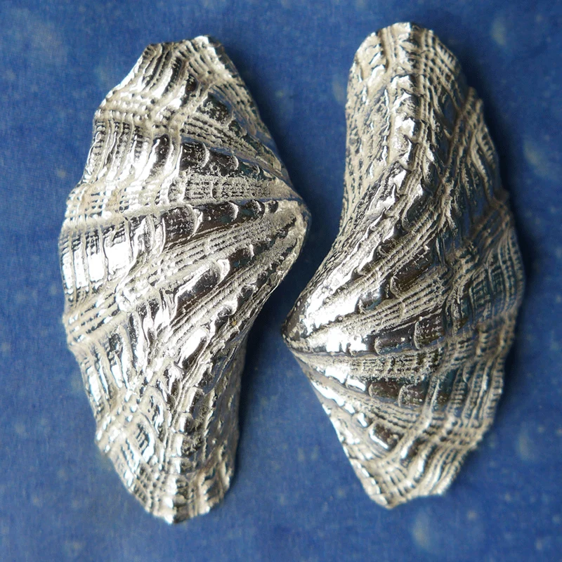 Taucherschmuck Mörder Muschel m